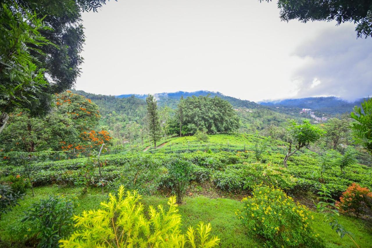 Sithara Estate Bungalow Ella Esterno foto