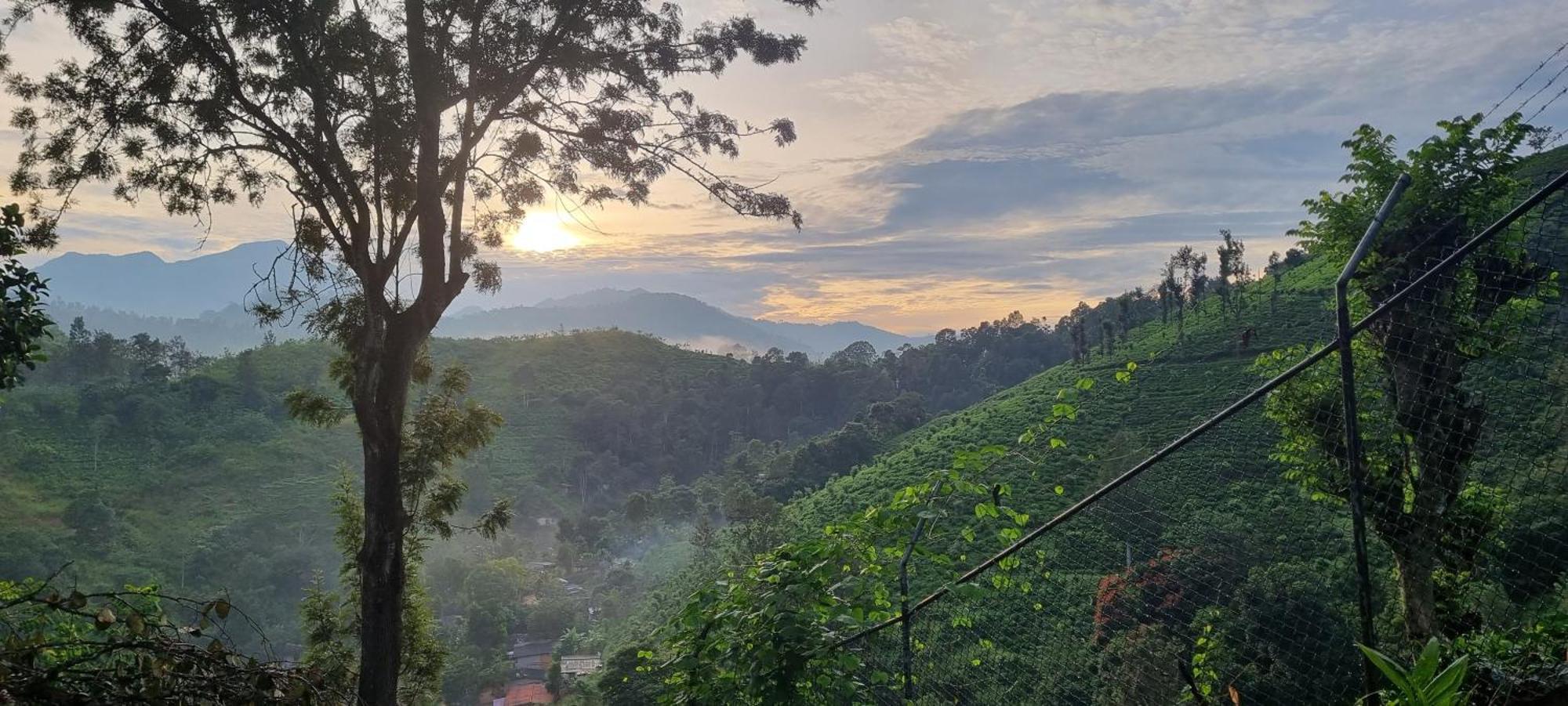 Sithara Estate Bungalow Ella Esterno foto