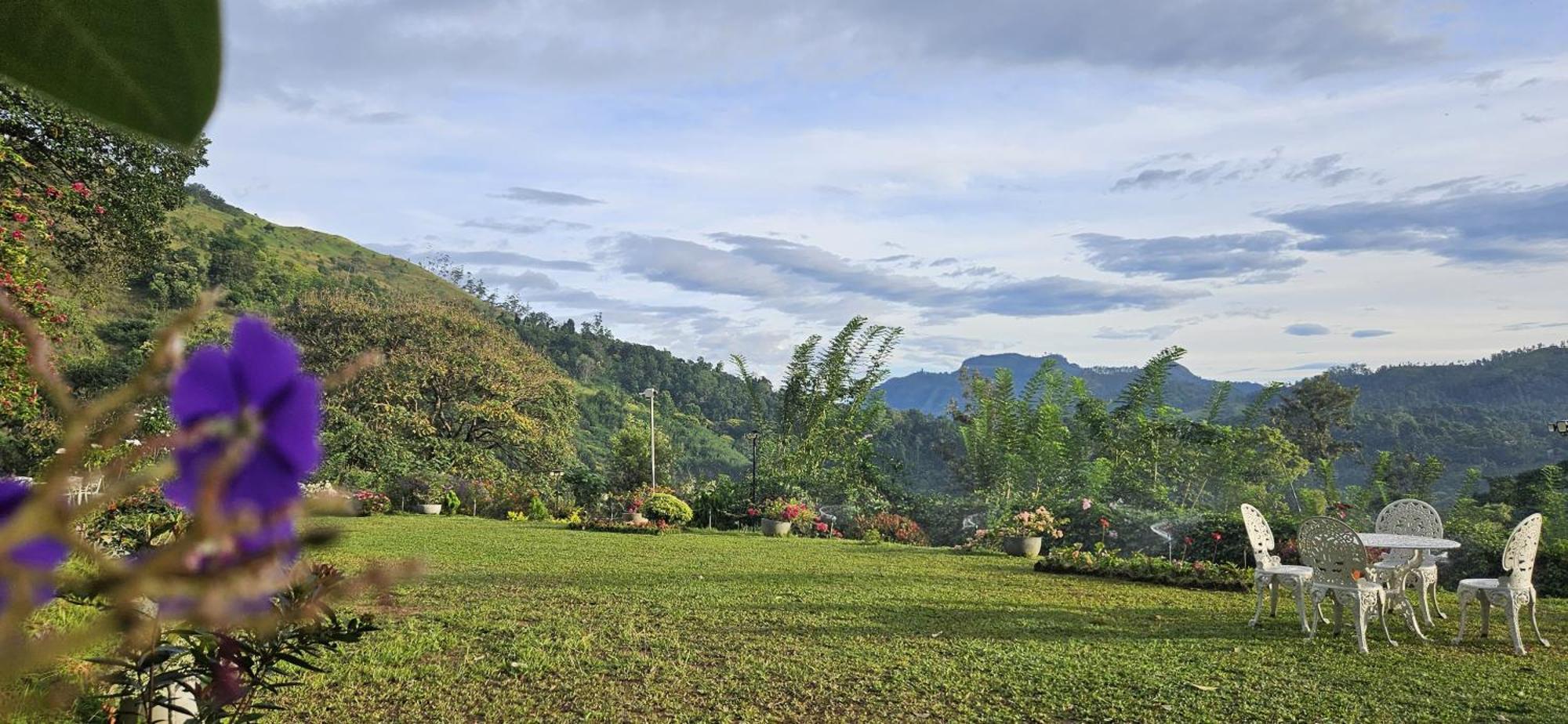 Sithara Estate Bungalow Ella Esterno foto