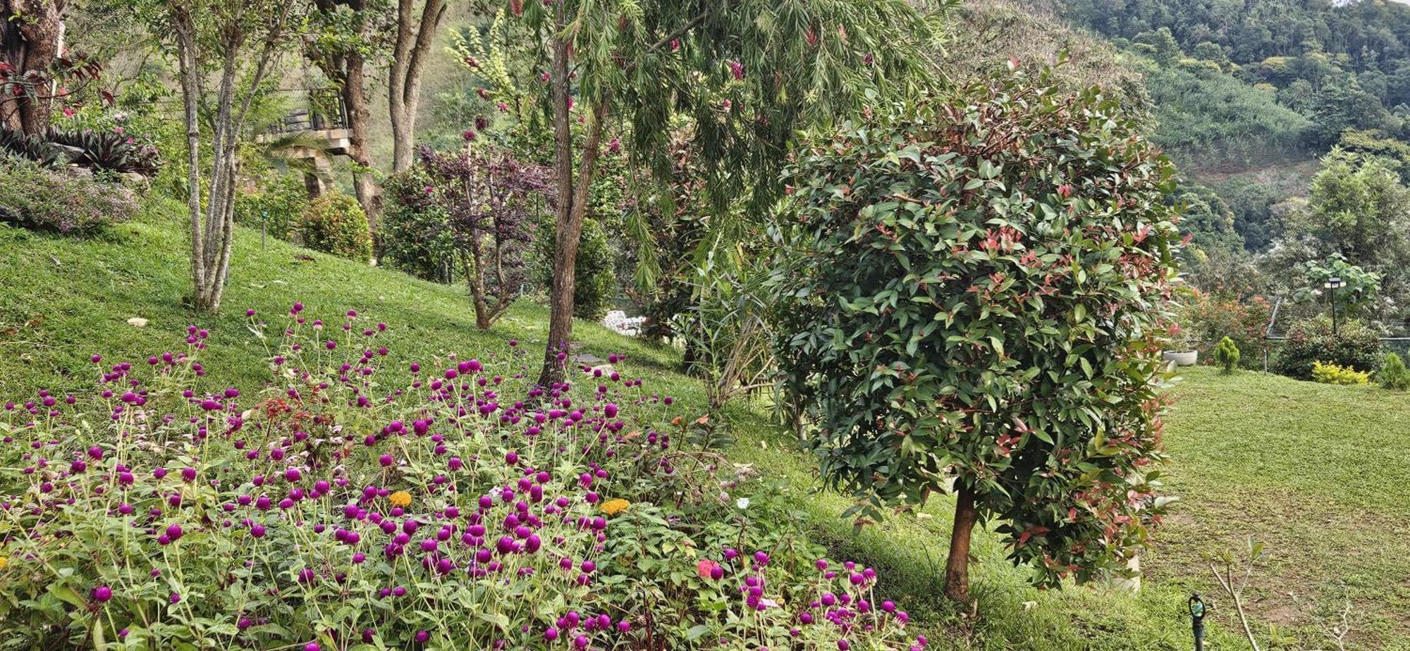 Sithara Estate Bungalow Ella Esterno foto