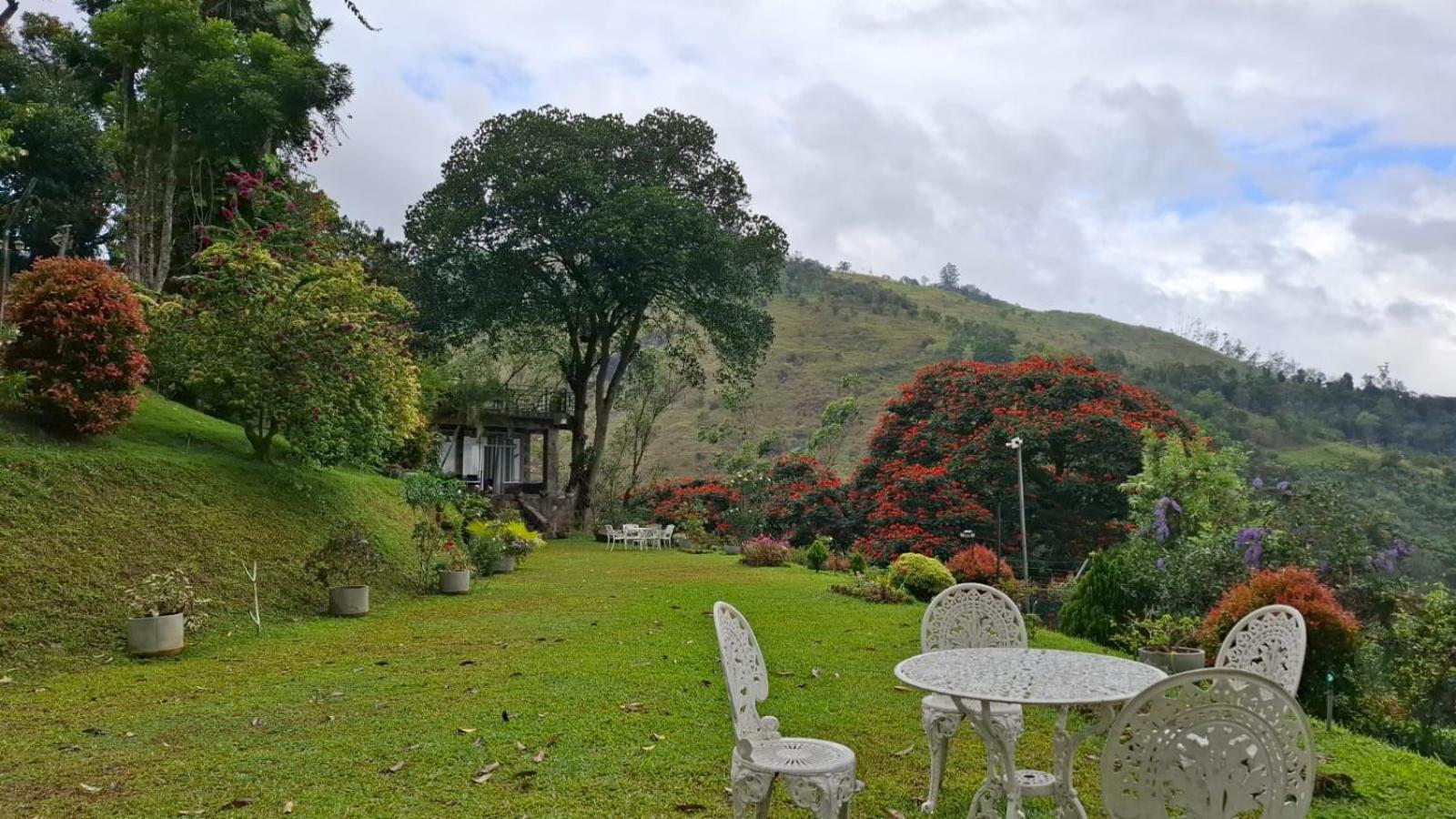 Sithara Estate Bungalow Ella Esterno foto