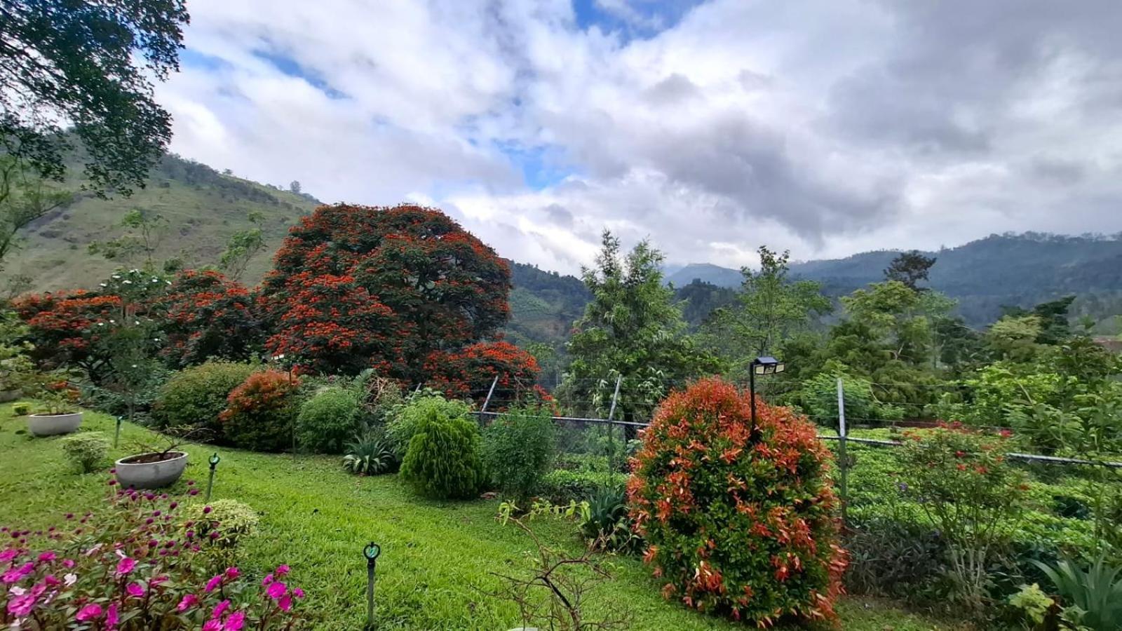 Sithara Estate Bungalow Ella Esterno foto