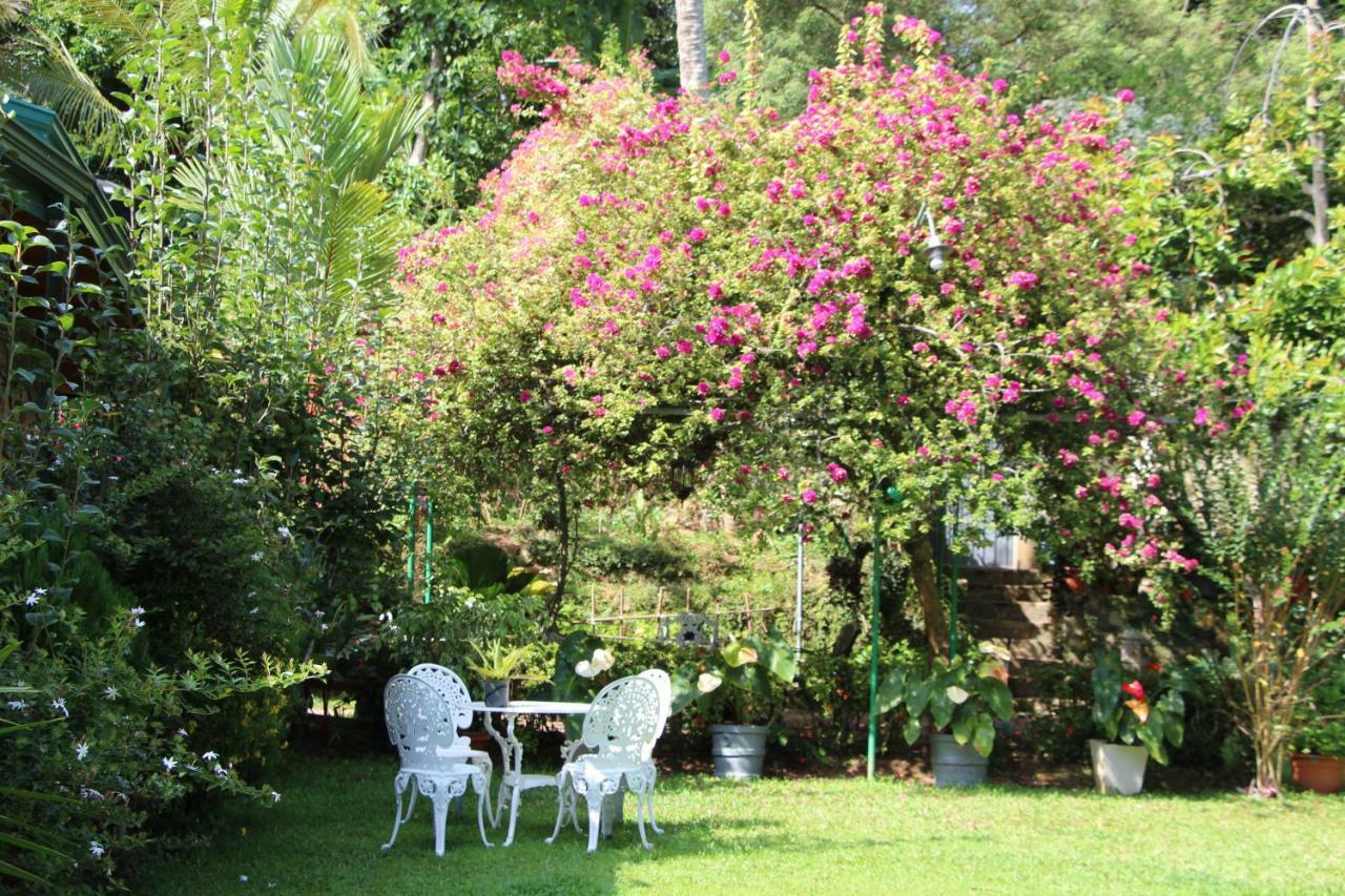 Sithara Estate Bungalow Ella Esterno foto